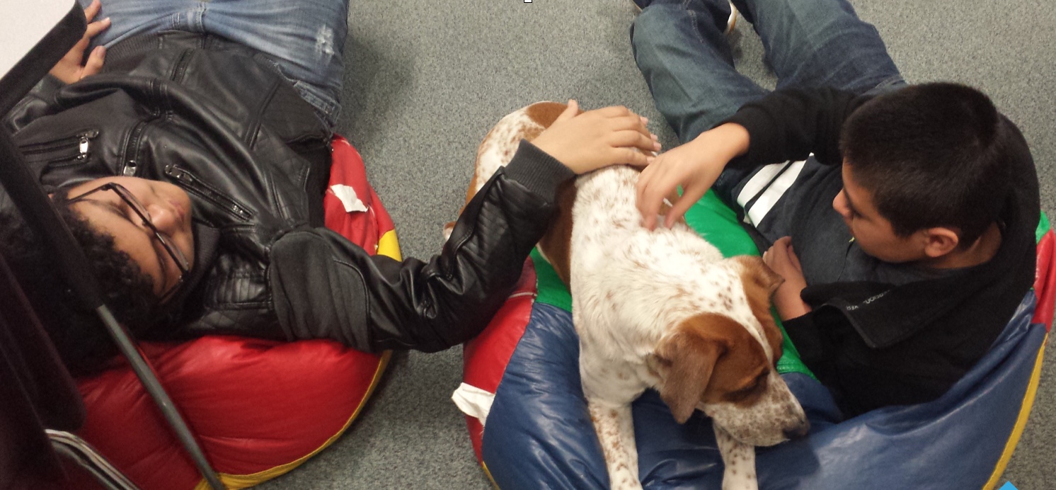 Canine-Assisted Therapy Boys with Dog